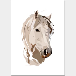 White Horse Posters and Art